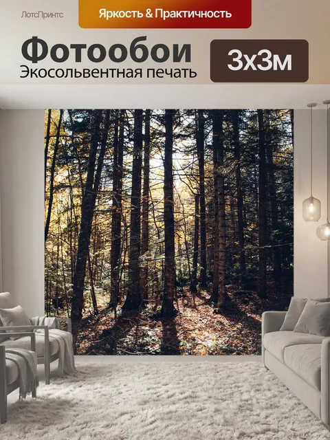 Фотообои Лес