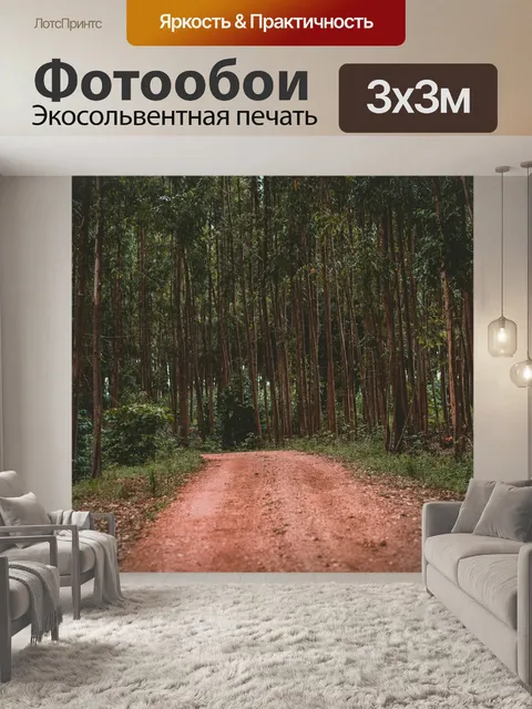 Фотообои Лес