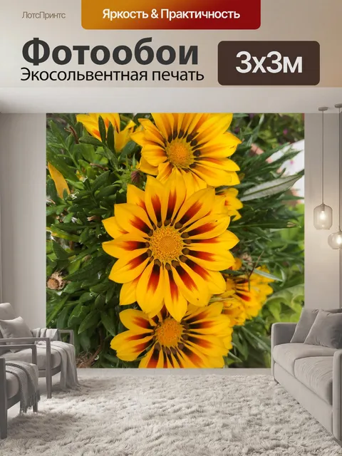 Фотообои Цветы