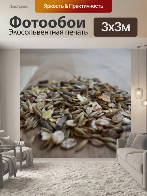 Фотообои Корм