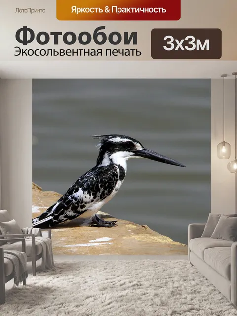 Фотообои Птицы