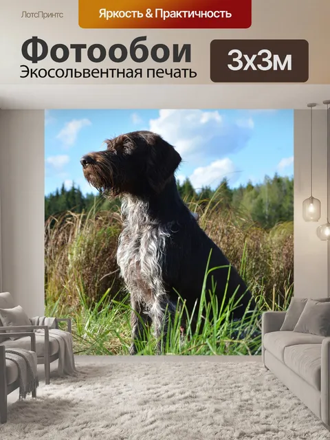 Фотообои Животные