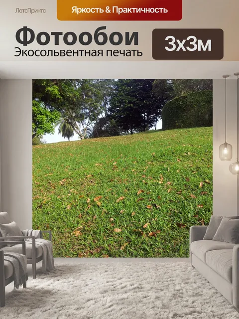 Фотообои Опавшие листья и зеленая трава