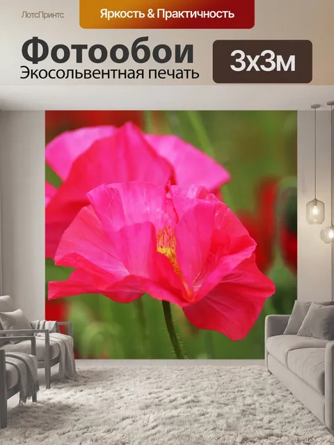 Фотообои Маки