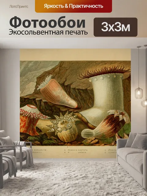 Фотообои Кораллы, морские анемоны, винтажное иску