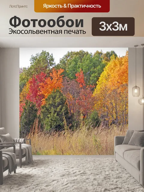 Фотообои Осень поле