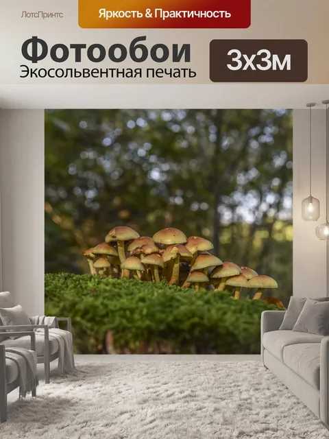 Фотообои Грибы