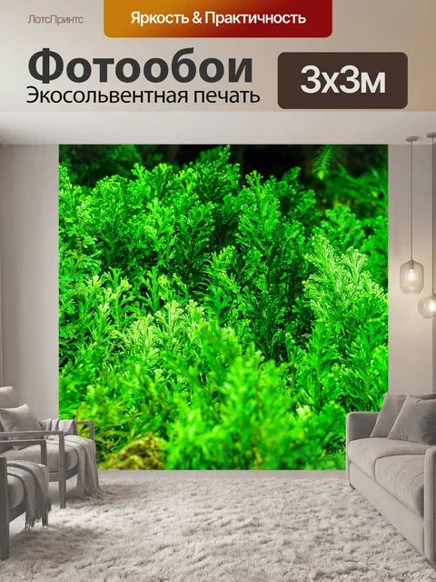 Фотообои Фон из листьев папоротника