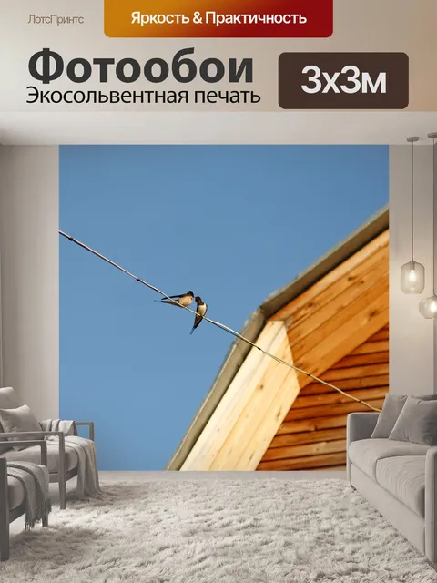 Фотообои Птицы