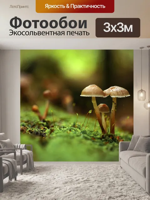 Фотообои Грибы мох лес ствол дерева