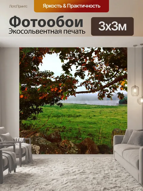 Фотообои Цвета
