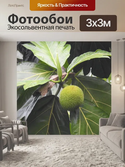 Фотообои Фрукты
