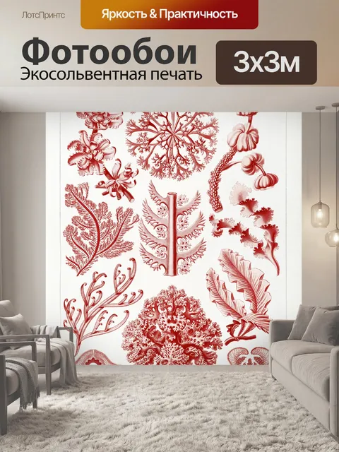 Фотообои Коралловый риф морская звезда старинное