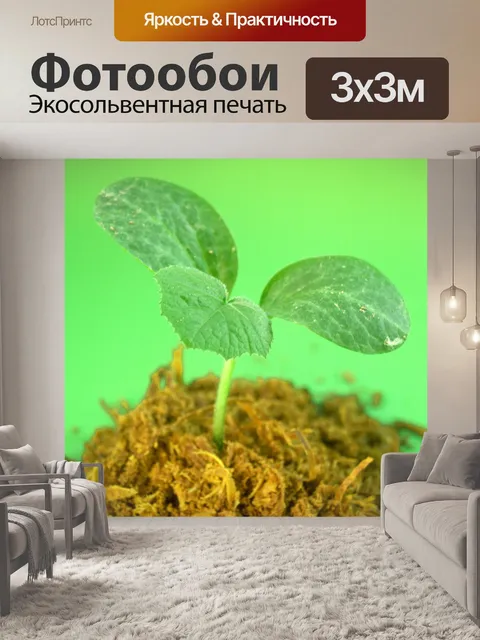 Фотообои Молодое дерево