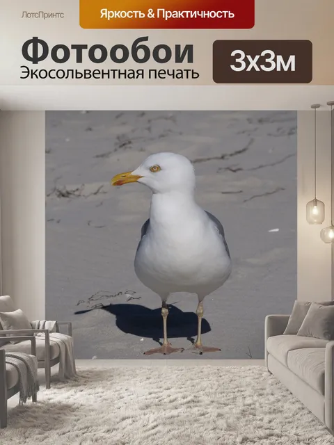 Фотообои Птица