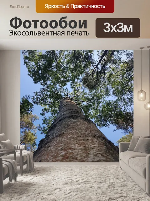 Фотообои Деревья