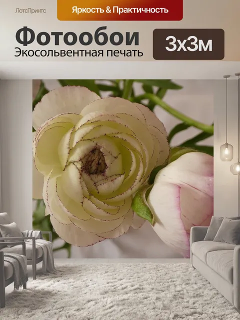 Фотообои Цветок