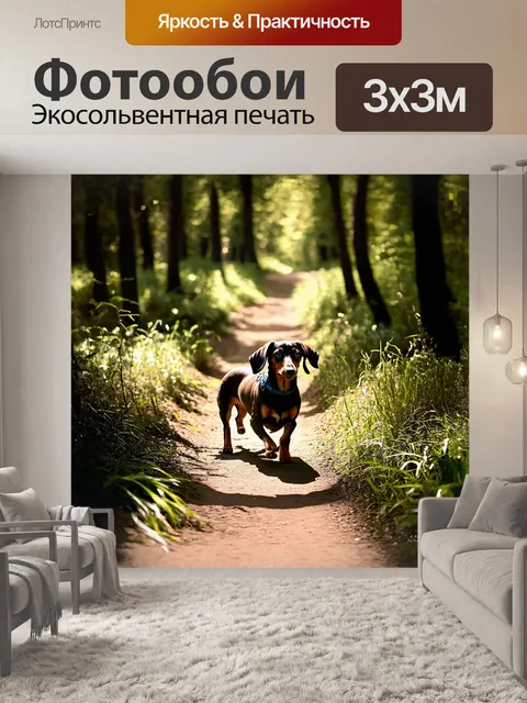 Фотообои в густом лесу, такса идет по тропинке, пробираясь через высокую траву и низкие ветви деревьев