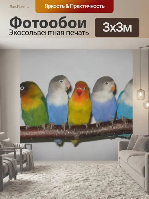 Фотообои Красочные попугаи