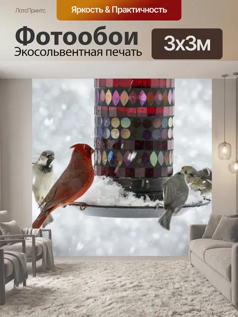 Фотообои Птицы