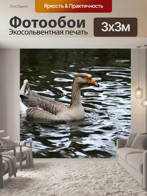 Фотообои Гусь