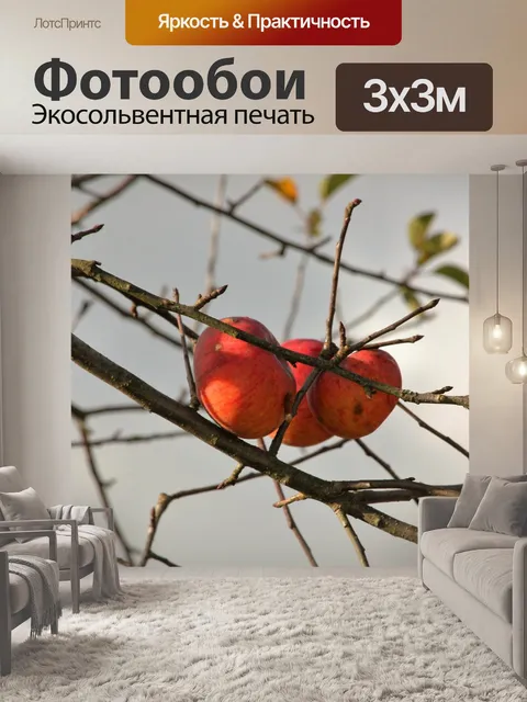 Фотообои Яблоко