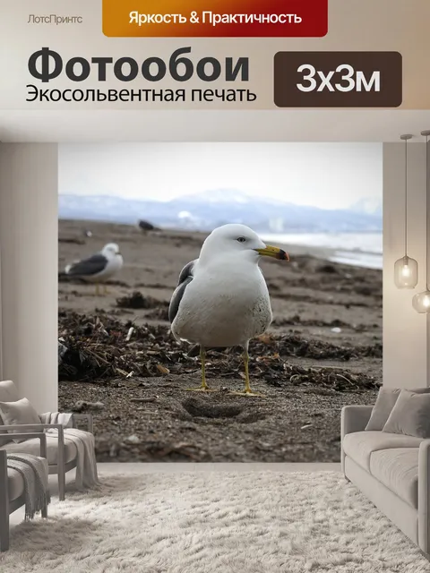 Фотообои Животное