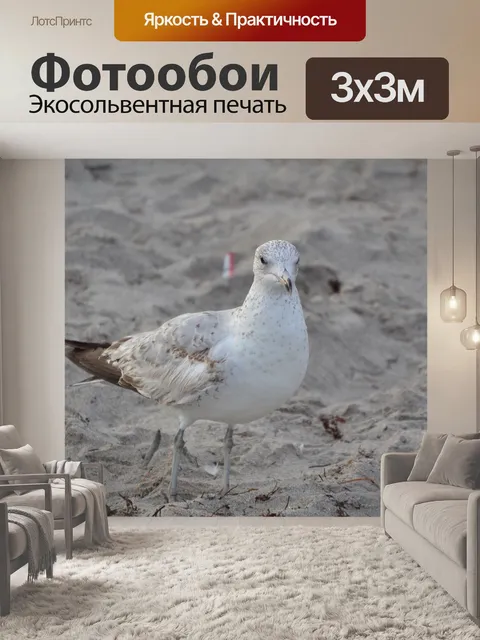 Фотообои Птица