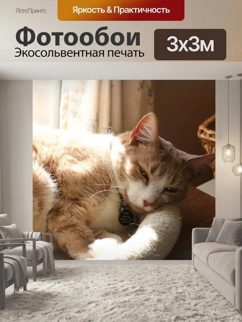Фотообои Кошка