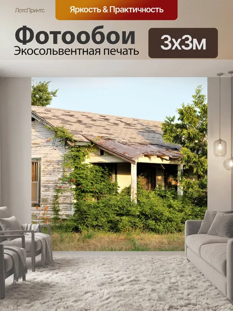 Фотообои Заброшенный дом в стране
