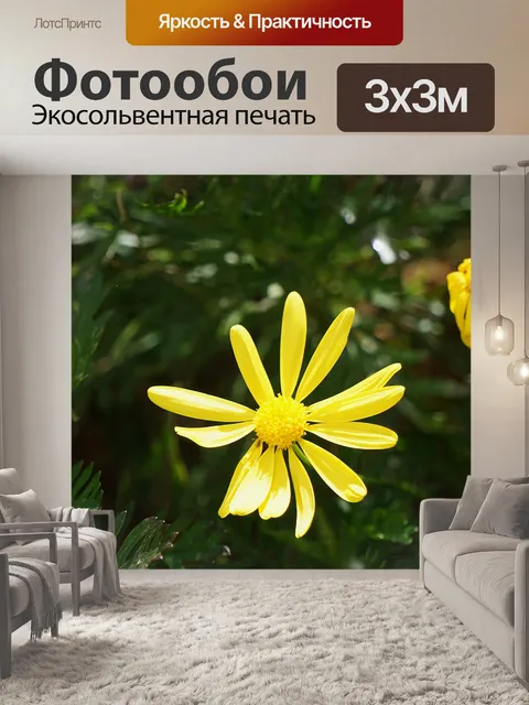 Фотообои Желтые цветы