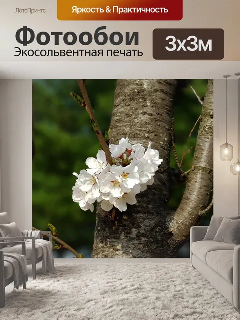 Фотообои Дерево