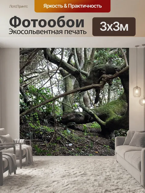 Фотообои большой толстый ствол дерева в лесу