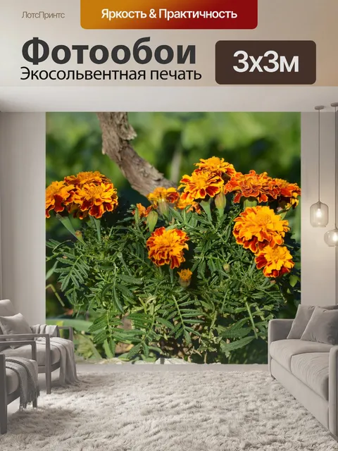 Фотообои Цветы