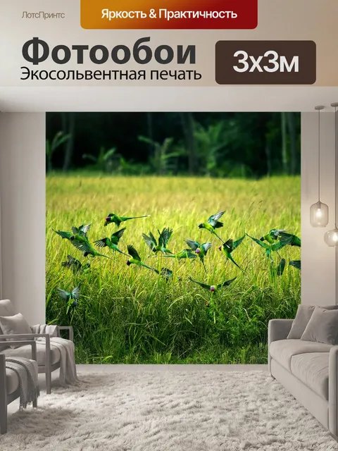 Фотообои Птицы