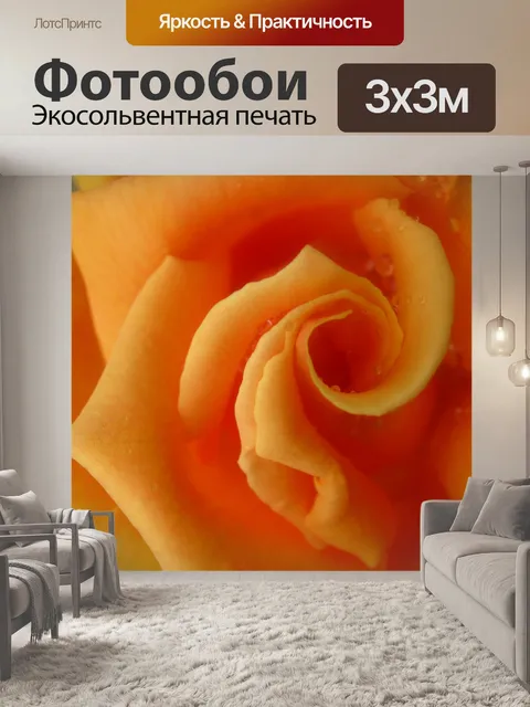 Фотообои Розы из моего сада
