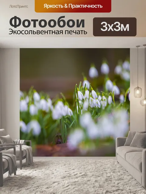 Фотообои Подснежники