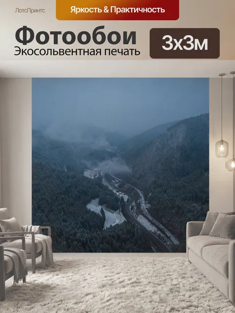 Фотообои Черный лес