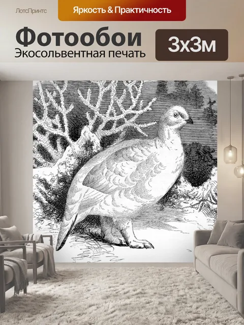 Фотообои Зимнее оперение куропатки