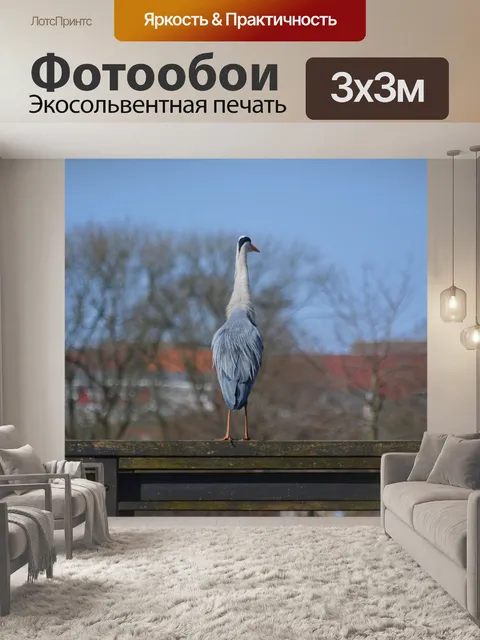 Фотообои Серая цапля