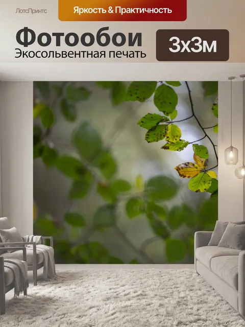 Фотообои Осенние листья