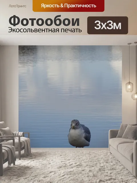 Фотообои Чайка