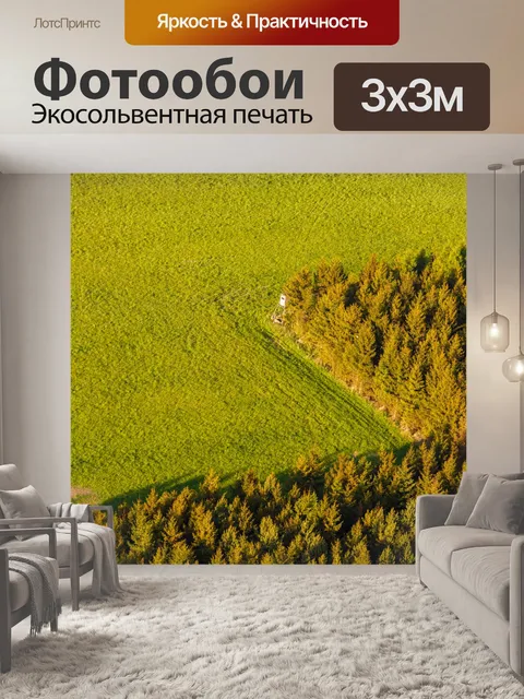 Фотообои Вид деревьев