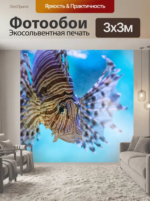 Фотообои Красная крылатка