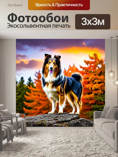 Фотообои колли, стоящий на скале, с лесом на заднем плане, где природа пестрит яркими осенними красками