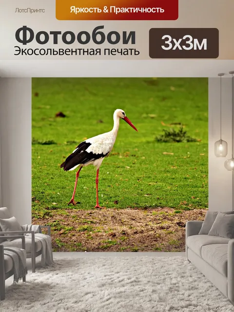 Фотообои Аист