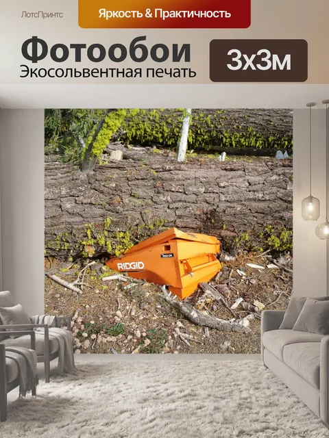 Фотообои Разбила