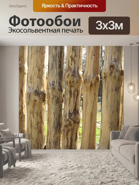 Фотообои Древесина