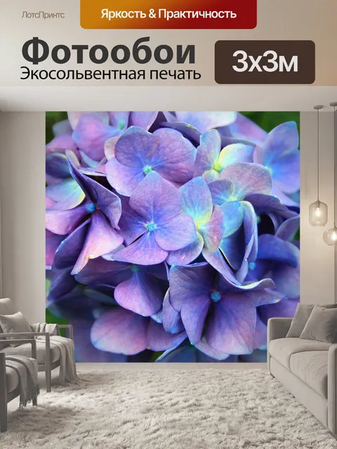 Фотообои мягкий фиолетовый гортензии