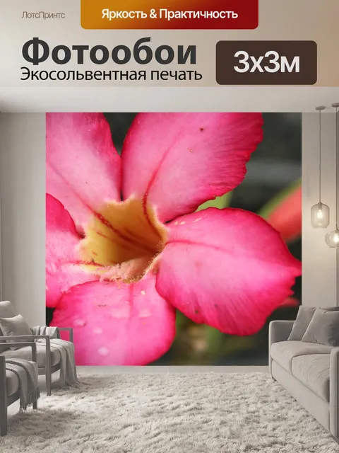 Фотообои фуксия розовый цветок
